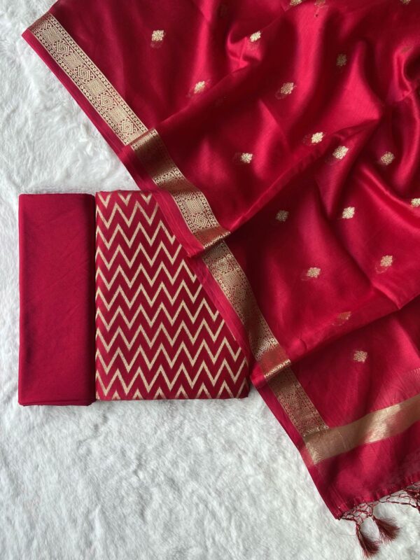 Banarasi Zari Suit - Image 4